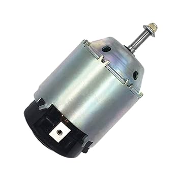 チーター2 31cd7zf-rYL.jpg